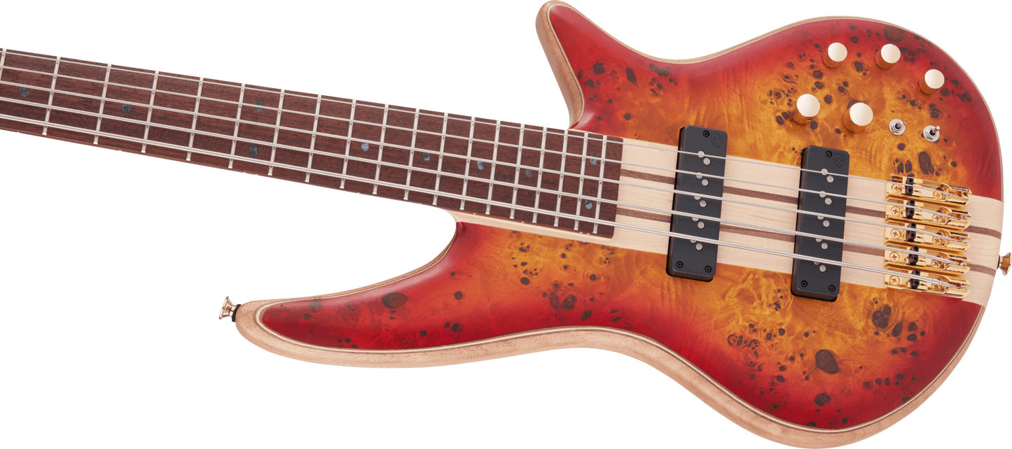 Pro Series Spectra Bass SBP V